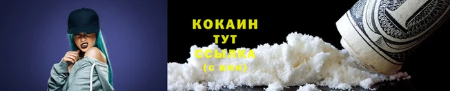 ECSTASY Богородицк