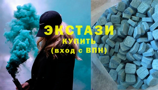 ECSTASY Богородицк